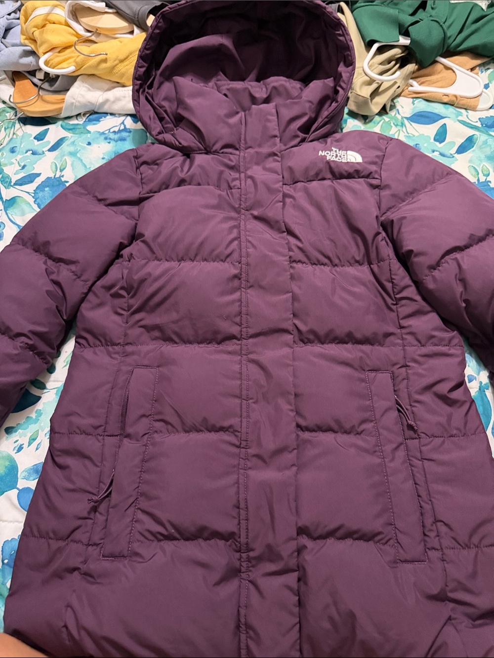 The North Face Women's Plum Hooded Puffer Coat - Deep Purple